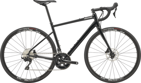 Synapse 1 - Suburban Ski and Bike