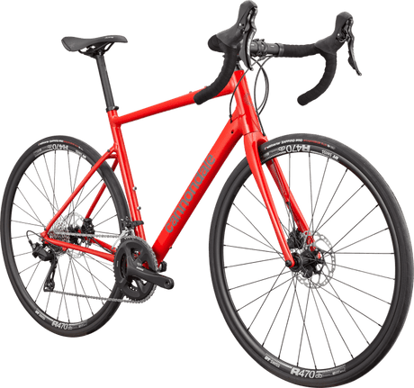 Synapse 1 - Suburban Ski and Bike