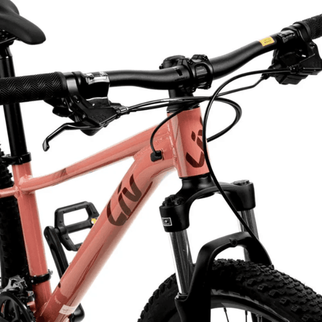 Tempt 4 - Suburban Ski and Bike