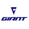 Giant Bicycle - Suburban Ski and Bike