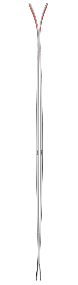 Nordica Santa Ana 87 Women's Skis 2027