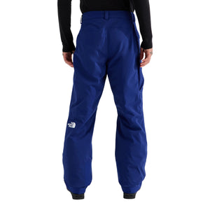 The North Face Men's Freedom Insulated Ski & Snowboard Pants