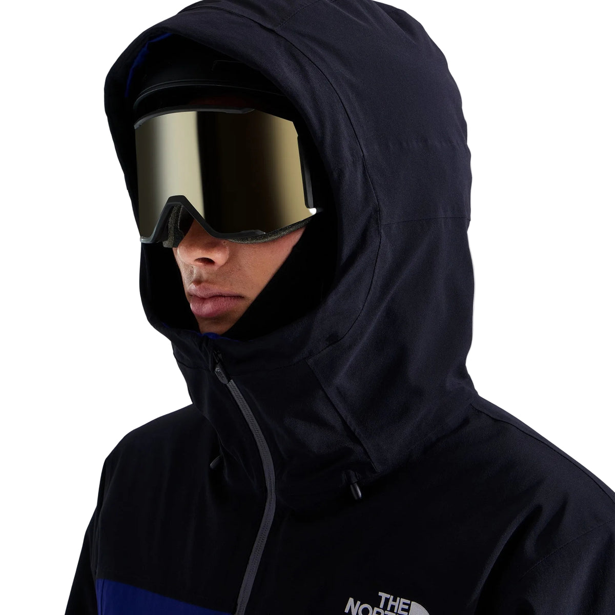 The North Face Men's Freedom Insulated Ski & Snowboard Jacket
