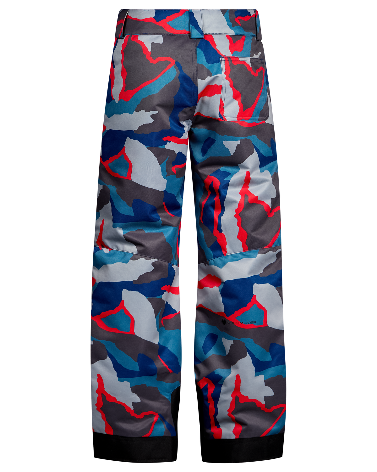 Obermeyer Boys' Brisk Print Insulated Ski & Snowboard Pants
