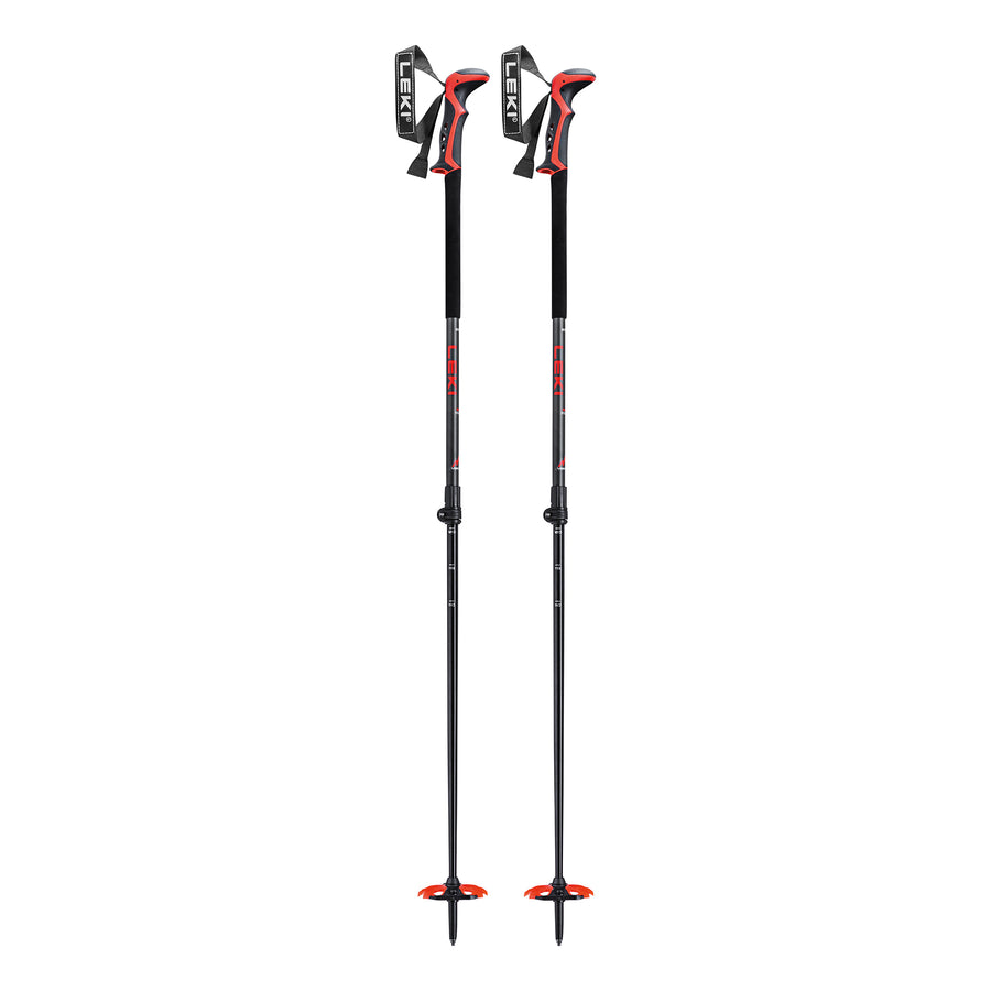 Haute Route 2 Backcountry Ski Pole