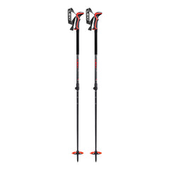 Haute Route 2 Backcountry Ski Pole