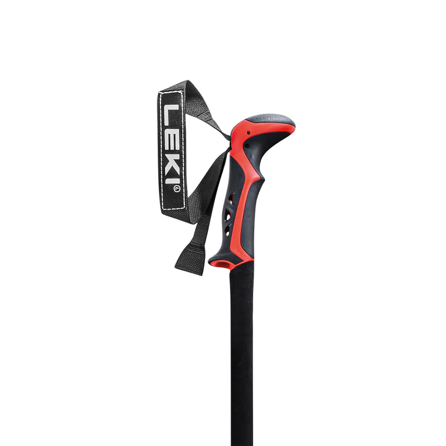 Haute Route 2 Backcountry Ski Pole