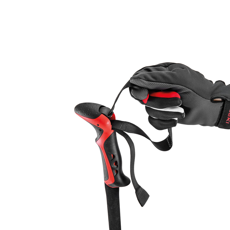Haute Route 2 Backcountry Ski Pole