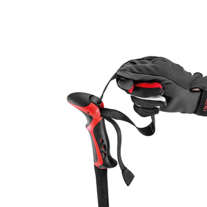 Haute Route 2 Backcountry Ski Pole