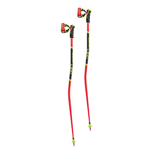 WCR GS 3D Race Ski Pole