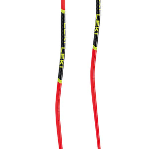 WCR GS 3D Race Ski Pole