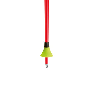 WCR GS 3D Race Ski Pole