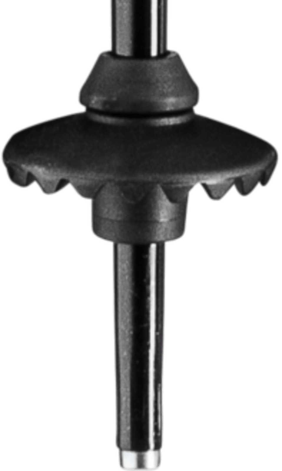 LEKI Primacy Ski Poles
