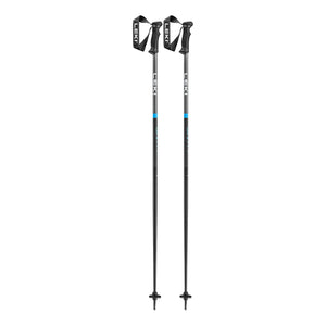 QNTM Ski Pole