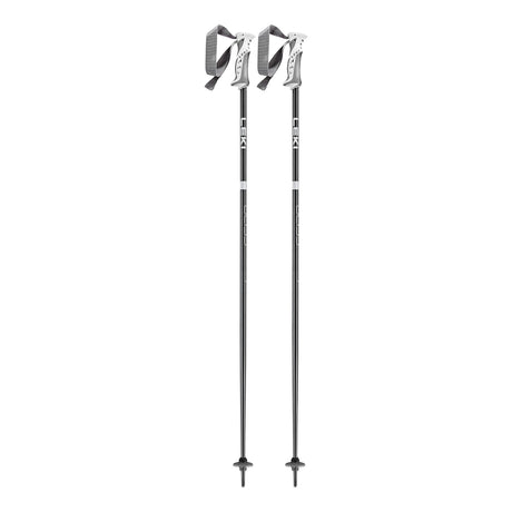 Bliss Ski Pole