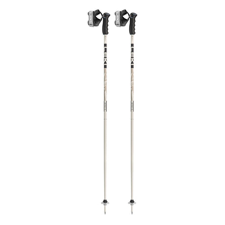 Detect S Ski Pole