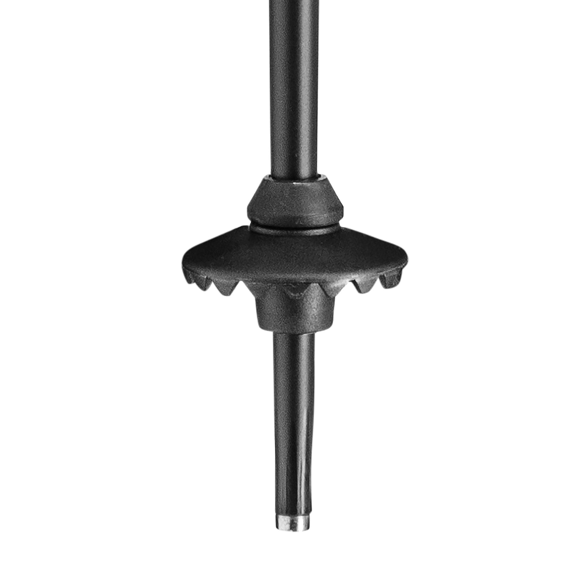 QNTM Ski Pole