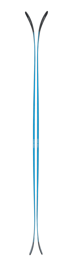 Rustler 10 2026