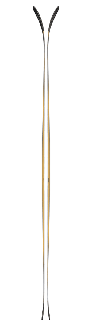 Blizzard Anomaly 94 Skis 2027