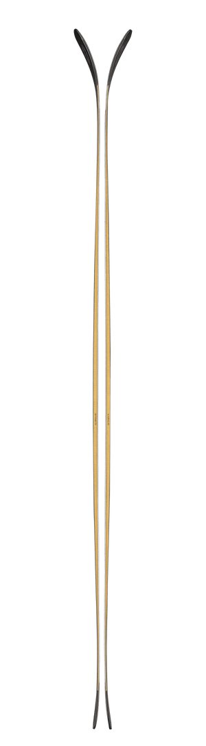 Blizzard Anomaly 88 Skis 2027