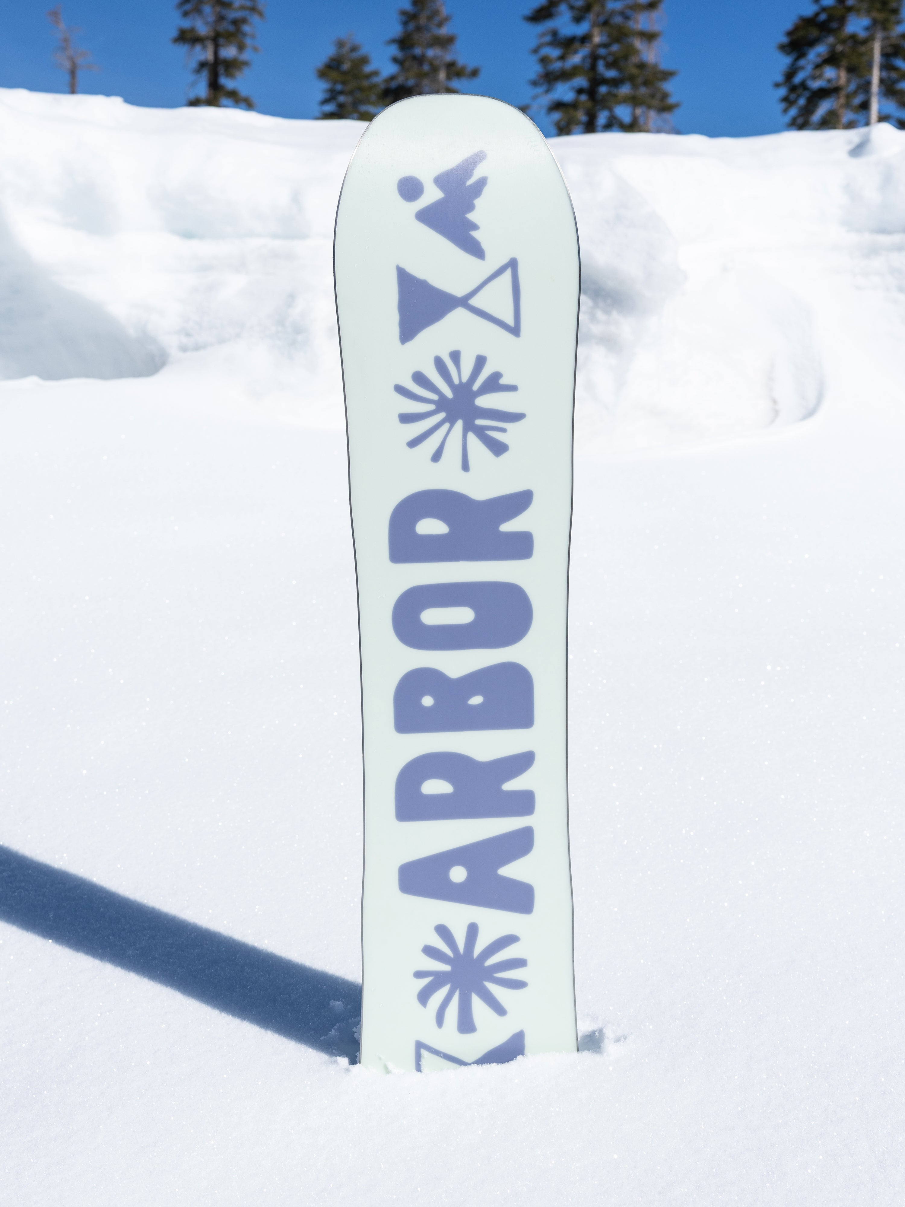 Arbor Seedling Youth Snowboard 2027