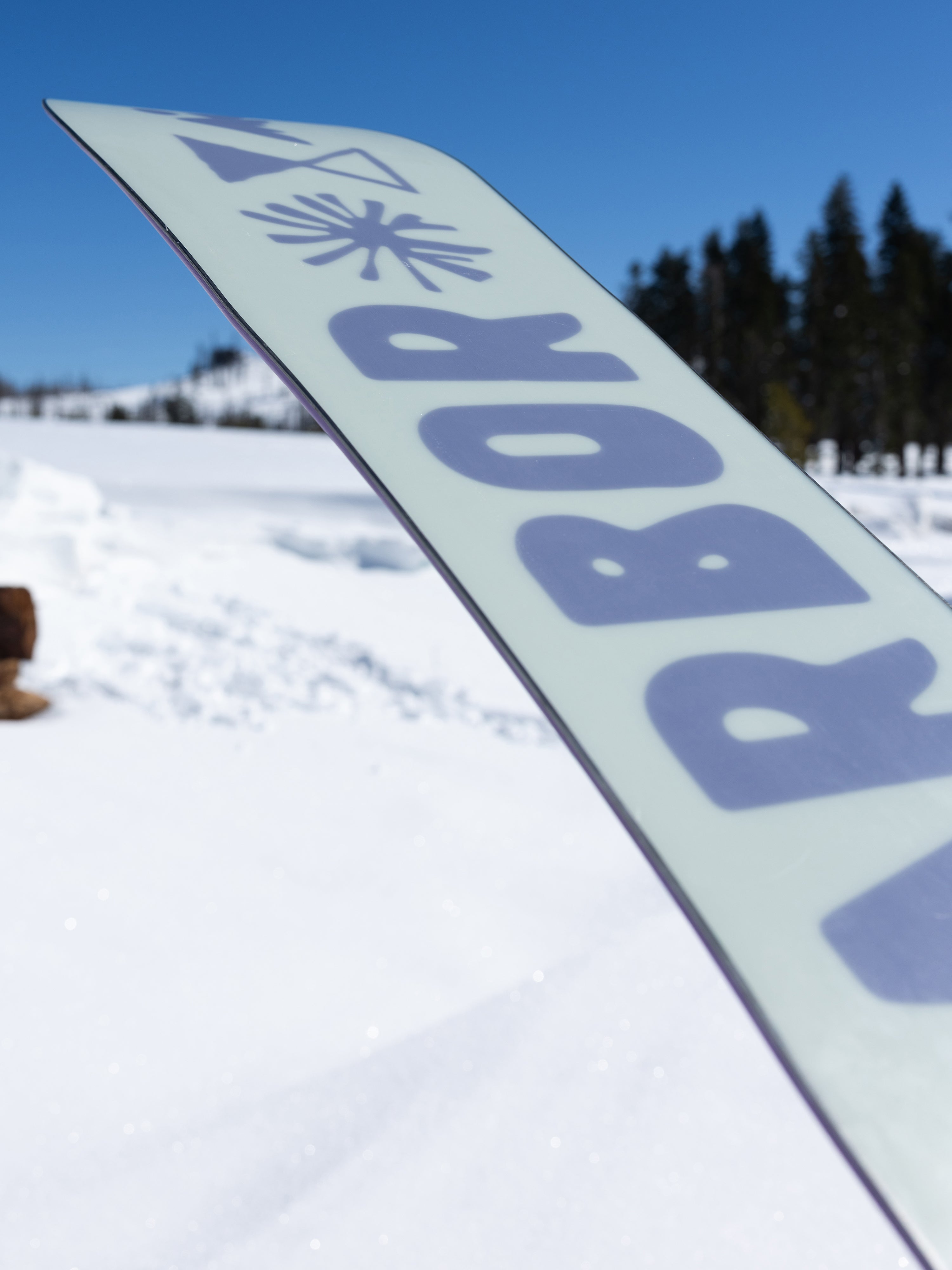 Arbor Seedling Youth Snowboard 2027