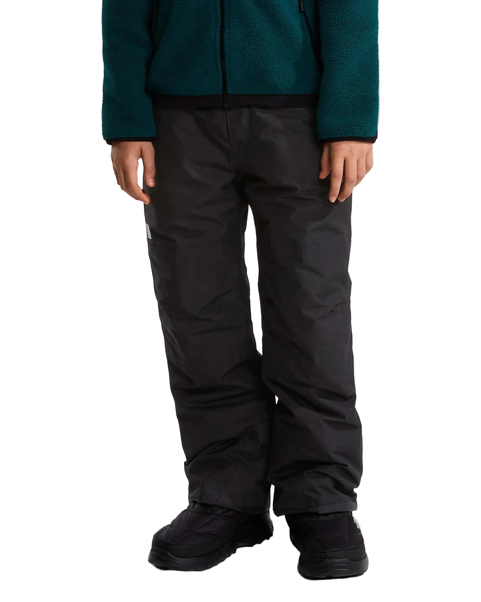 The North Face Boys' Freedom Insulated Ski & Snowboard Pants