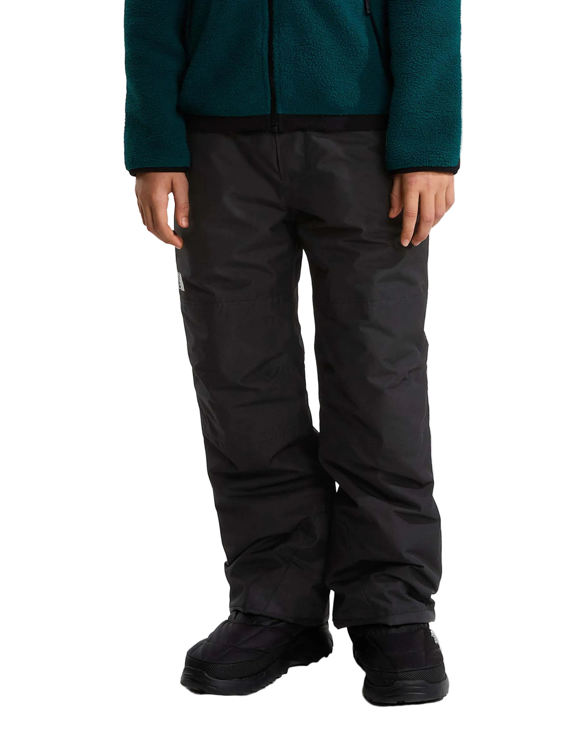 The North Face Boys' Freedom Insulated Ski & Snowboard Pants