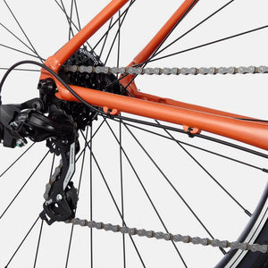 Quick 6 - Suburban Ski and Bike