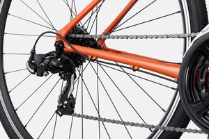 Quick 6 - Suburban Ski and Bike