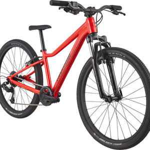 Kids Trail 24