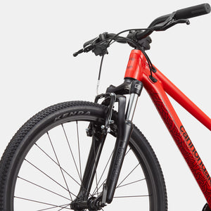 Kids Trail 24