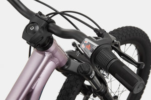 Kids Trail 20
