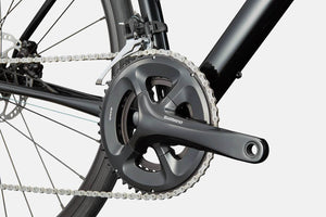 Synapse 1 - Suburban Ski and Bike
