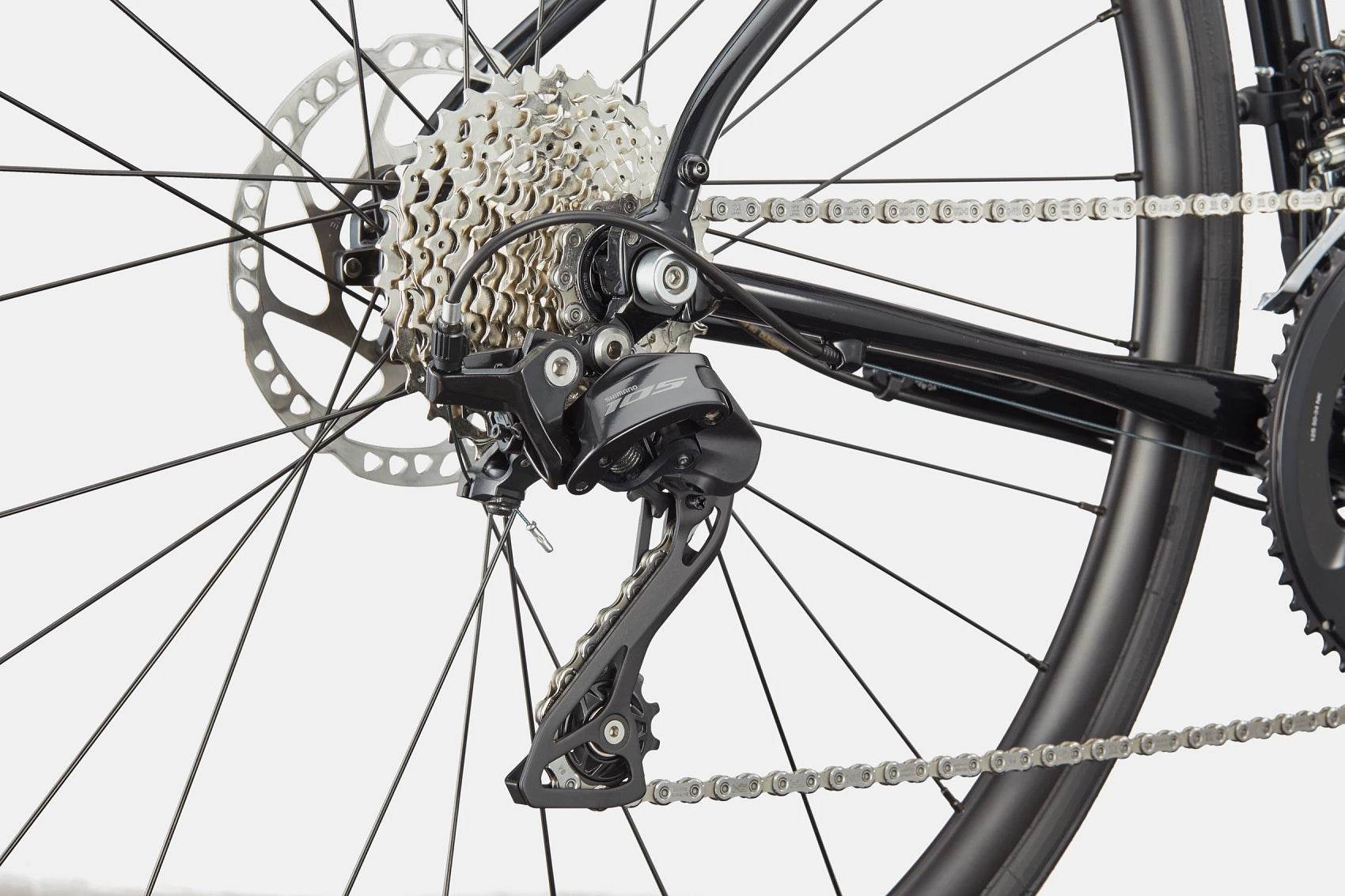 Synapse 1 - Suburban Ski and Bike