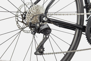 Synapse 1 - Suburban Ski and Bike