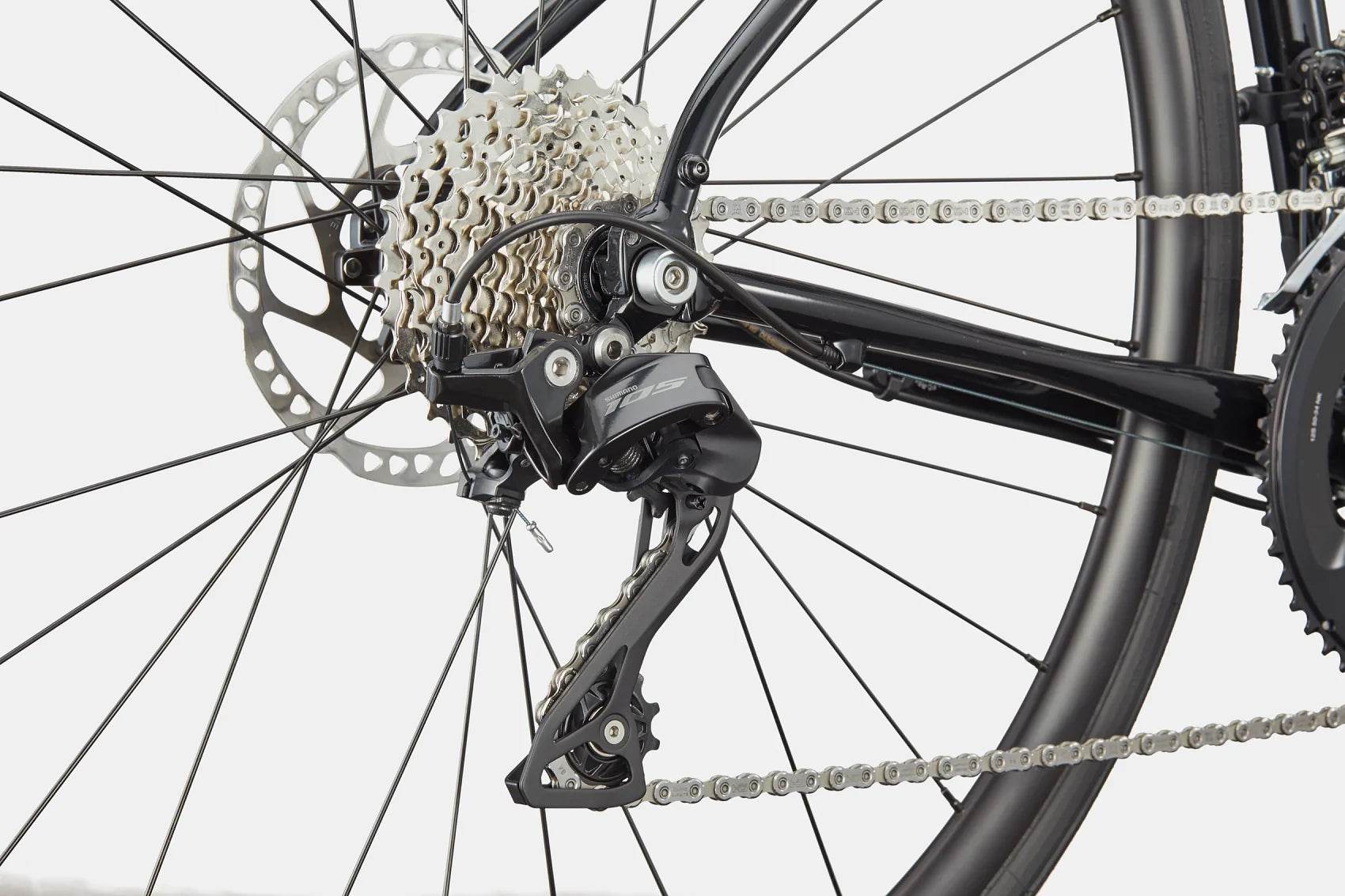 Synapse 1 - Suburban Ski and Bike