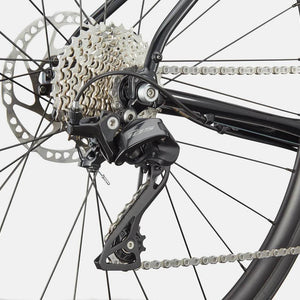 Synapse 1 - Suburban Ski and Bike
