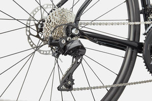 Synapse 1 - Suburban Ski and Bike