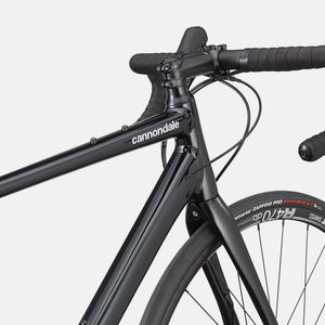 Synapse 1 - Suburban Ski and Bike