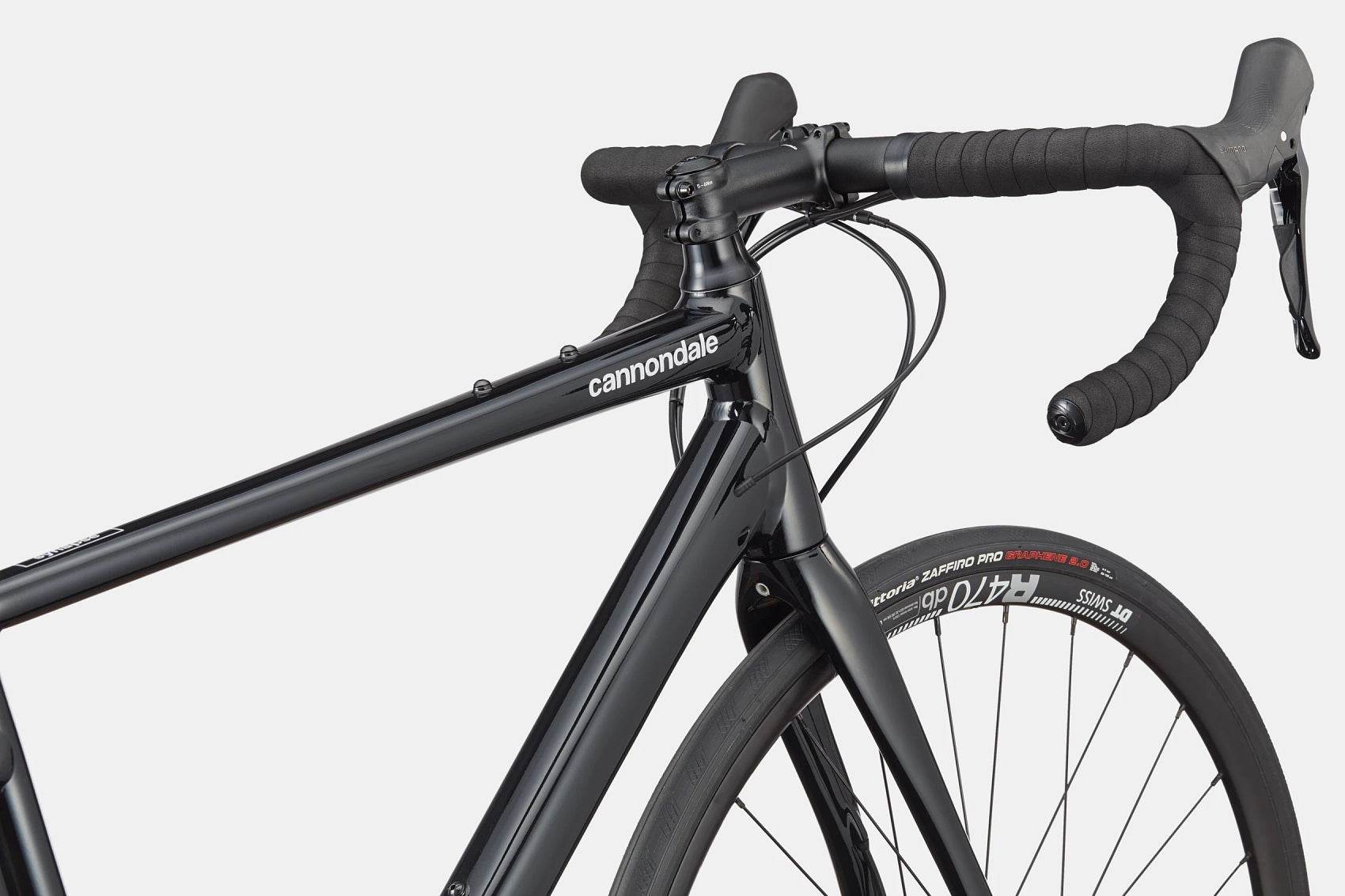 Synapse 1 - Suburban Ski and Bike