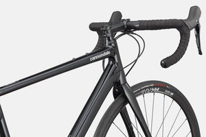Synapse 1 - Suburban Ski and Bike