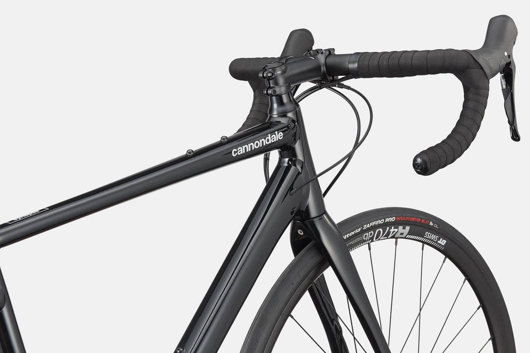 Synapse 1 - Suburban Ski and Bike