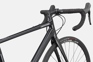 Synapse 1 - Suburban Ski and Bike