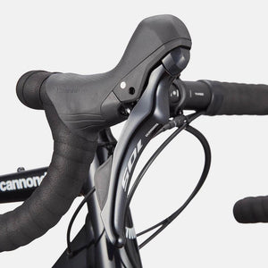 Synapse 1 - Suburban Ski and Bike