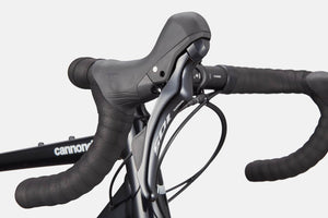 Synapse 1 - Suburban Ski and Bike