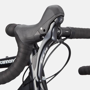 Synapse 1 - Suburban Ski and Bike
