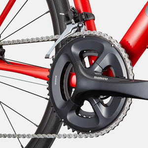 Synapse 1 - Suburban Ski and Bike