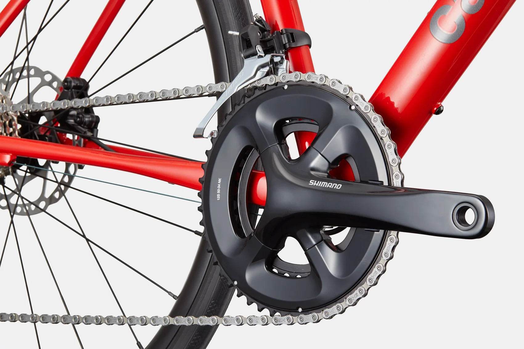 Synapse 1 - Suburban Ski and Bike