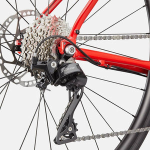Synapse 1 - Suburban Ski and Bike